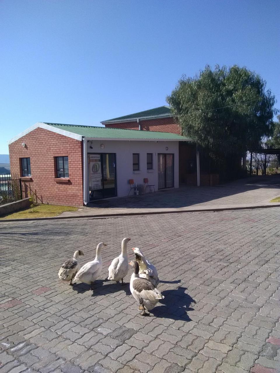 Noble Hearts Bed & Breakfast Maseru Exterior photo